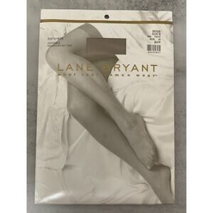 VTG Lane Bryant Daysheer Pantyhose Beige Size B Invisible Reinforced Toe -New